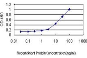 Detection limit for recombinant GST tagged SCYE1 is approximately 1ng/ml as a capture antibody.