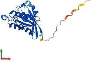 AlphaFold protein structure predicition of Mouse Recombinant Rab22a Protein, UniprotID P35285
