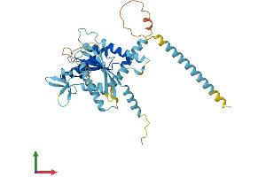 AlphaFold protein structure predicition of Mouse Recombinant Septin1 Protein, UniprotID P42209