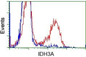 HEK293T cells transfected with either pCMV6-ENTRY IDH3A (RC200313) (Red) or empty vector control plasmid (Blue) were immunostained with anti-IDH3A mouse monoclonal (ABIN2453166), and then analyzed by flow cytometry. (IDH3A anticorps)