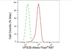 Flow cytometric analysis of VPS35 expression in C2C12 cells using VPS35 antibody (ABIN7800814), 1:2,000).