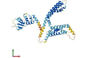 AlphaFold protein structure predicition of Mouse Recombinant Kcng3 Protein, UniprotID P59053