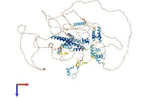AlphaFold protein structure predicition of Mouse Recombinant Sugp2 Protein, UniprotID Q8CH09