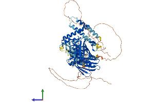 AlphaFold protein structure predicition of Mouse Recombinant Osbpl11 Protein, UniprotID Q8CI95