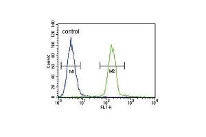 Tyrosinase Antibody (C-term) (ABIN391520 and ABIN2841480) flow cytometric analysis of  cells (right histogram) compared to a negative control (left histogram).