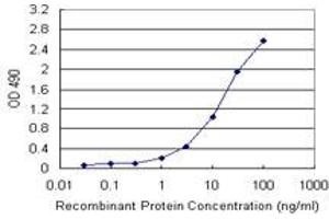 Sandwich ELISA detection sensitivity ranging from 1 ng/mL to 100 ng/mL. (SMAD3 (Humain) Matched Antibody Pair)