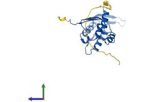 AlphaFold protein structure predicition of Mouse Recombinant Snx10 Protein, UniprotID Q9CWT3