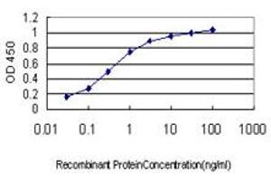 Detection limit for recombinant GST tagged SOCS5 is approximately 0.