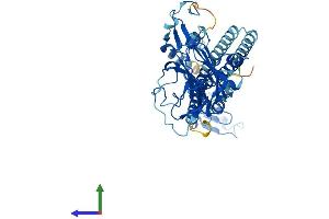 AlphaFold protein structure predicition of Mouse Recombinant Trim68 Protein, UniprotID Q8K243