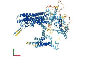 AlphaFold protein structure predicition of Mouse Recombinant Tpcn1 Protein, UniprotID Q9EQJ0