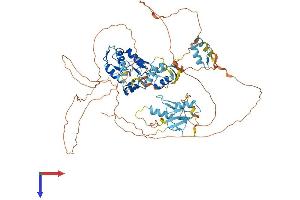 AlphaFold protein structure predicition of Human Recombinant ZNF280C Protein, UniprotID Q8ND82