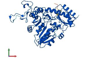 AlphaFold protein structure predicition of Mouse Recombinant Cth Protein, UniprotID Q8VCN5