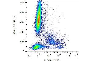 Flow cytometry analysis (surface staining) of human peripheral blood with anti-human HLA-DR+DP (MEM-136) PE. (HLA-DP/DR anticorps  (PE))