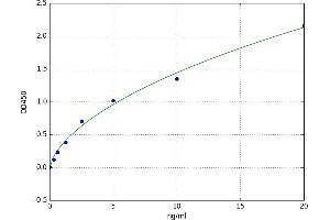 A typical standard curve (LAMTOR1 Kit ELISA)