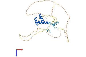 AlphaFold protein structure predicition of Mouse Recombinant En2 Protein, UniprotID P09066