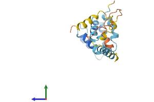 AlphaFold protein structure predicition of Mouse Recombinant Card19 Protein, UniprotID Q9D1I2