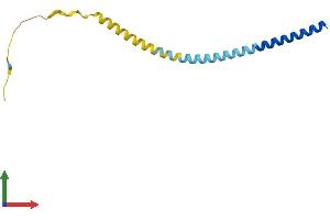 AlphaFold protein structure predicition of Human Recombinant VAMP1 Protein, UniprotID P23763