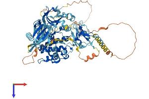 AlphaFold protein structure predicition of Human Recombinant PRKCQ Protein, UniprotID Q04759