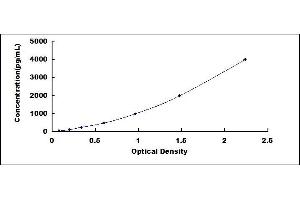 Typical standard curve (GFAP Kit ELISA)