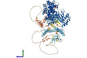 AlphaFold protein structure predicition of Human Recombinant MICAL1 Protein, UniprotID Q8TDZ2