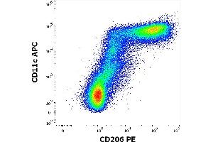 Flow cytometry multicolor surface staining pattern of human stimulated (GM-CSF + IL-4) peripheral blood mononuclear cells stained using anti-human CD206 (15-2) PE antibody (10 μL reagent per milion cells in 100 μL of cell suspension) and anti-human CD11c (BU15) APC antibody (10 μL reagent per milion cells in 100 μL of cell suspension).