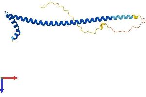 AlphaFold protein structure predicition of Mouse Recombinant Dydc1 Protein, UniprotID Q9D9T0