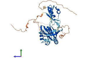 AlphaFold protein structure predicition of Human Recombinant TDRD10 Protein, UniprotID Q5VZ19