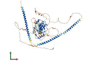 AlphaFold protein structure predicition of Mouse Recombinant Skil Protein, UniprotID Q60665