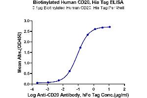 Immobilized Biotinylated Human CD20, His Tag at 1 μg/mL (100 μL/well) on the streptavidin precoated plate (5 μg/mL).