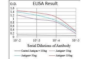 Fig. (SSTR3 anticorps  (AA 1-43))