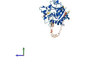 AlphaFold protein structure predicition of Mouse Recombinant St6galnac5 Protein, UniprotID Q9QYJ1