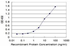 Detection limit for recombinant GST tagged SLC2A4 is approximately 0.