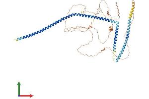 AlphaFold protein structure predicition of Mouse Recombinant Six6os1 Protein, UniprotID Q9CTN5