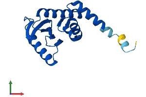 AlphaFold protein structure predicition of Human Recombinant AP1S1 Protein, UniprotID P61966
