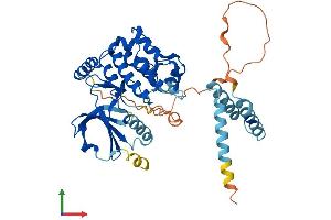AlphaFold protein structure predicition of Mouse Recombinant Stk25 Protein, UniprotID Q9Z2W1