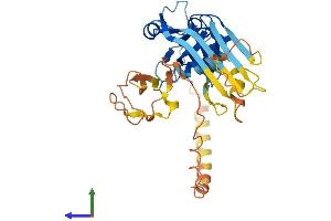 AlphaFold protein structure predicition of Mouse Recombinant Pjvk Protein, UniprotID Q0ZLH2