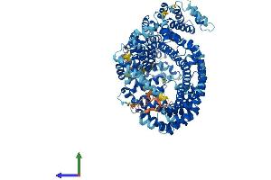 AlphaFold protein structure predicition of Mouse Recombinant Ipo7 Protein, UniprotID Q9EPL8