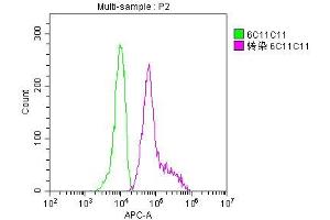 Overlay histogram showing 293F cells transfected with GFP stained with ABIN7141875 (red line) at 1:200.