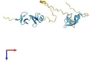 AlphaFold protein structure predicition of Mouse Recombinant Csrp1 Protein, UniprotID P97315