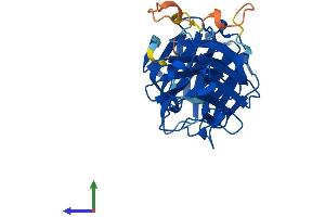 AlphaFold protein structure predicition of Human Recombinant LGALS8 Protein, UniprotID O00214