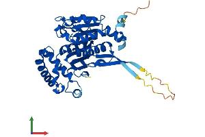 AlphaFold protein structure predicition of Human Recombinant SAE1 Protein, UniprotID Q9UBE0
