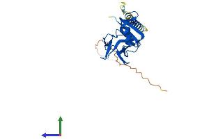 AlphaFold protein structure predicition of Human Recombinant KLRK1 Protein, UniprotID P26718