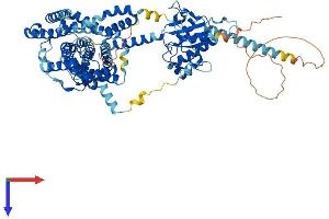 AlphaFold protein structure predicition of Mouse Recombinant Slc26a6 Protein, UniprotID Q8CIW6