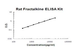 Rat Fractalkine Accusignal ELISA Kit Rat Fractalkine AccuSignal ELISA Kit standard curve. (CX3CL1 Kit ELISA)