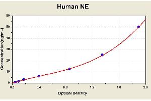 Diagramm of the ELISA kit to detect Human NEwith the optical density on the x-axis and the concentration on the y-axis. (ELANE Kit ELISA)
