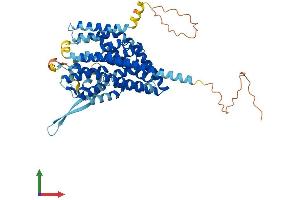 AlphaFold protein structure predicition of Mouse Recombinant Slc1a4 Protein, UniprotID O35874