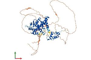 AlphaFold protein structure predicition of Mouse Recombinant Esr1 Protein, UniprotID P19785