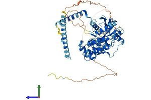 AlphaFold protein structure predicition of Human Recombinant GNL3 Protein, UniprotID Q9BVP2