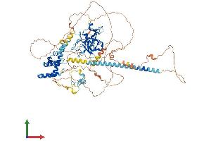 AlphaFold protein structure predicition of Mouse Recombinant Jade2 Protein, UniprotID Q6ZQF7