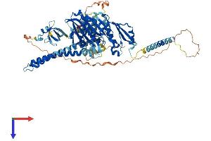 AlphaFold protein structure predicition of Mouse Recombinant Kif2a Protein, UniprotID P28740
